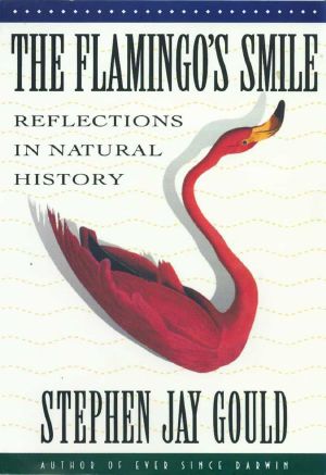 [Reflections in Natural History 04] • The Flamingo's Smile